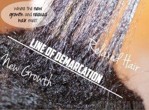 Transitioning: natural hair